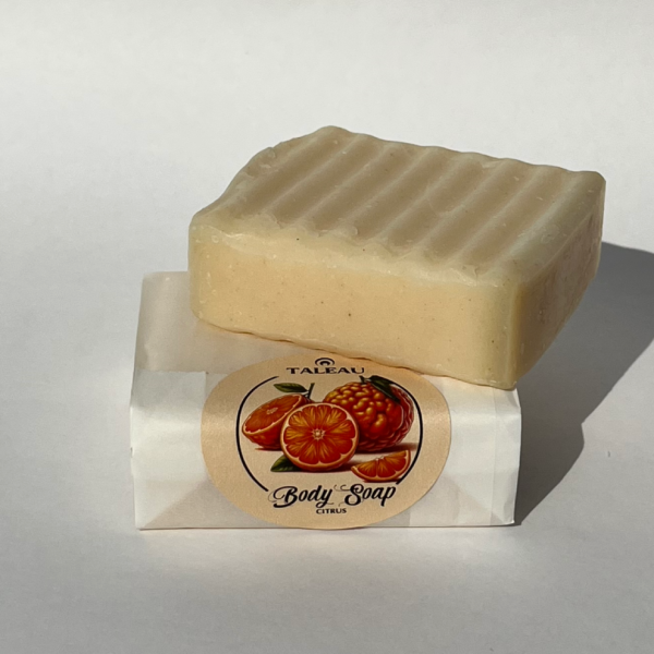 Citrus Body Soap