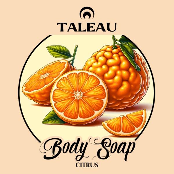 Citrus Body Soap - Image 2