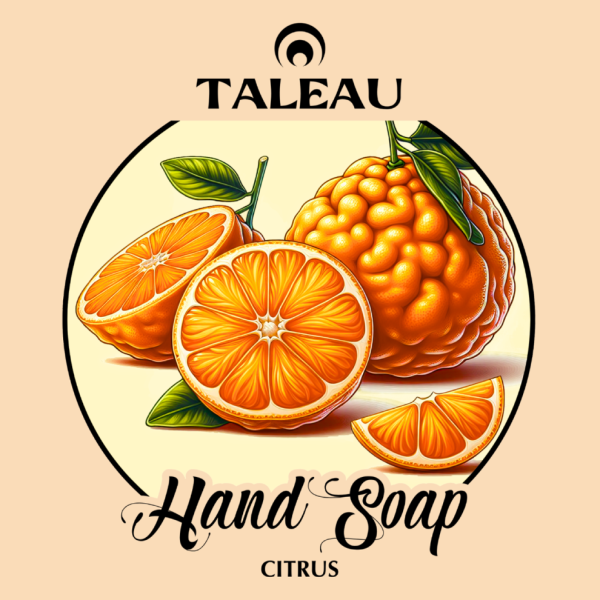 Citrus Hand Soap - Image 2